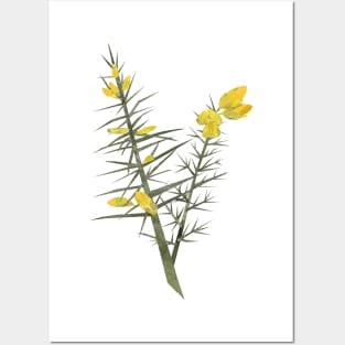 Gorse Posters and Art